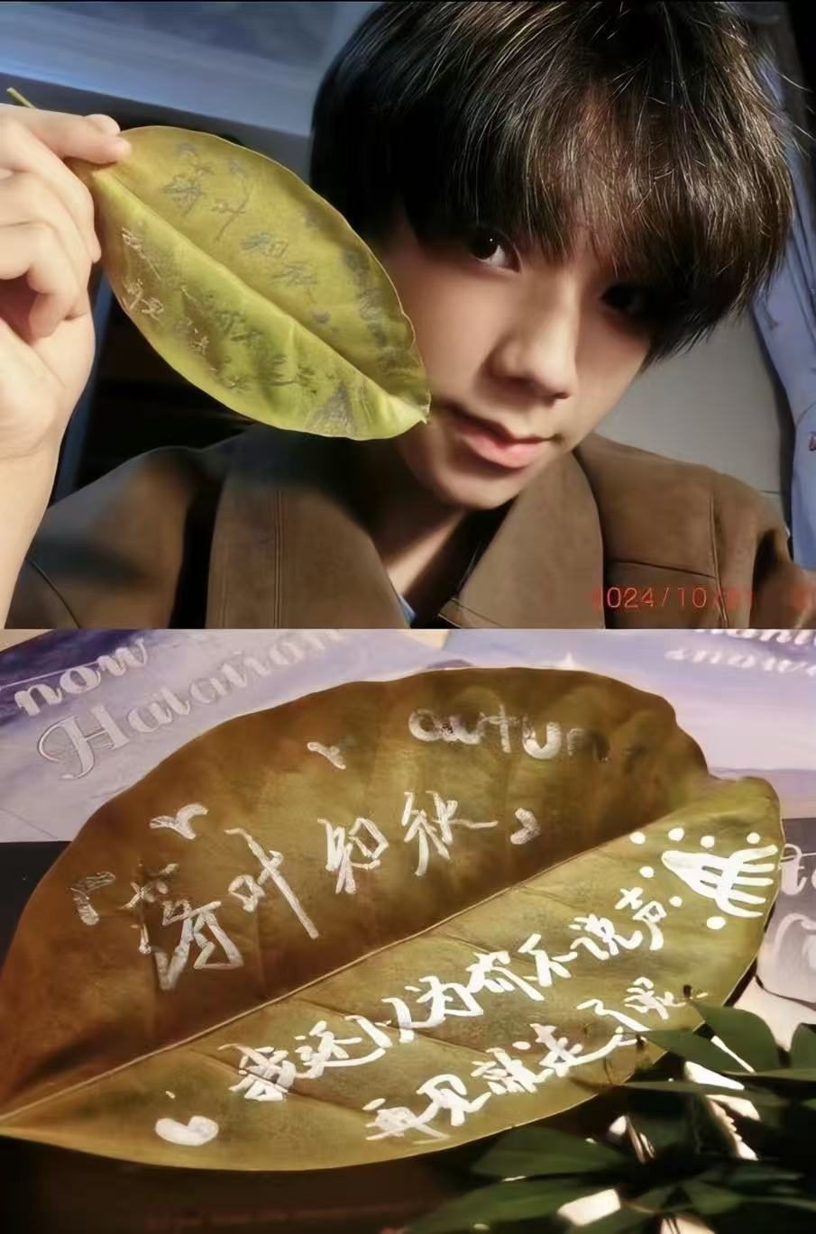 2024 落叶知秋